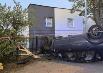 Uderzył w drzewo, po czym doszło do dachowania