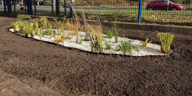 Mieszkańcy Poznania mają szanse na dofinansowanie na gromadzenie deszczówki