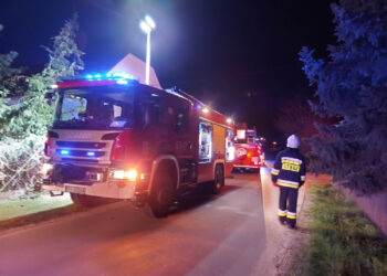 Na drodze wojewódzkiej doszło do wypadku, w wyniku którego 7 osób zostało rannych