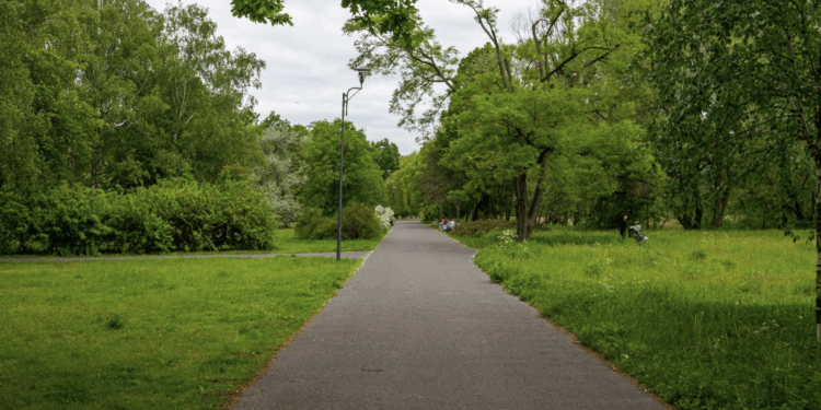 Oddaj odzież a otrzymasz sadzonkę