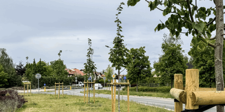 Poznań staje się coraz bardziej zielony