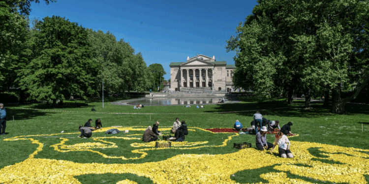 Ogromne ilości tulipanów z okazji obchodów tysiąclecia koronacji