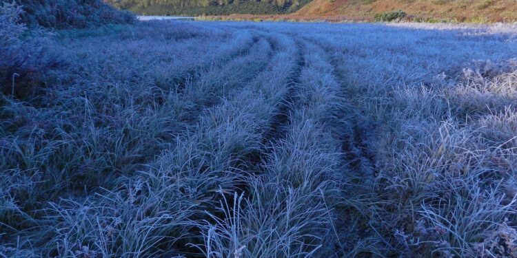 Nadchodzą przymrozki, burze oraz opady śniegu. Zbliża się pogorszenie warunków atmosferycznych
