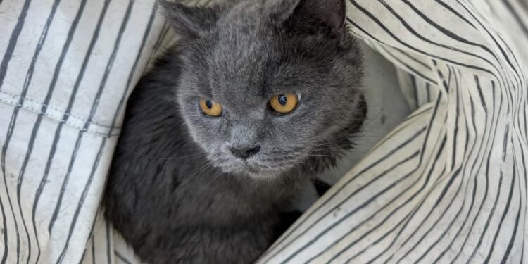 Cud po pożarze bloku na Krańcowej