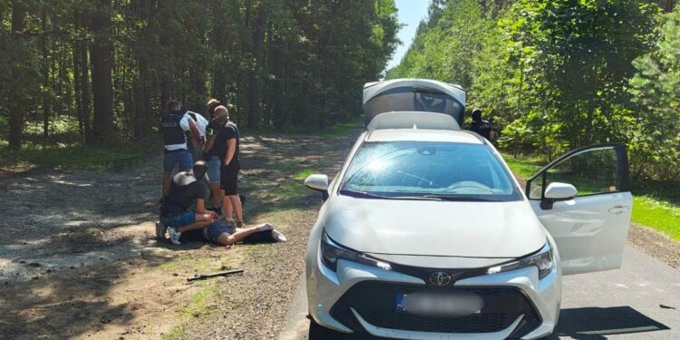 Aresztowano podejrzanych o serię włamań do domów