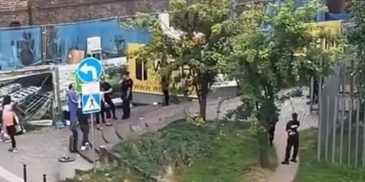 Pitbull odgryzł małemu psu głowę. Dramatyczne wydarzenia pod Starym Browarem