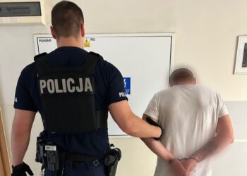 Przed policją uciekł na dach