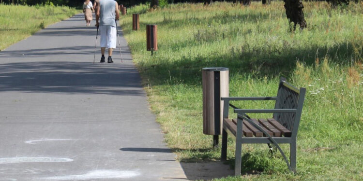 Duże zmiany w parku Tysiąclecia
