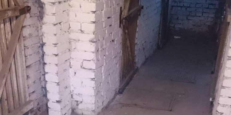 Obowiązkowa deratyzacja w Poznaniu