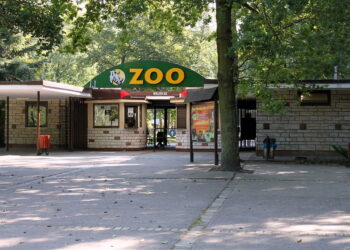 Wyjątkowy piknik rodzinny w poznańskim Nowym Zoo