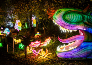 Wraca wyjątkowa atrakcja Poznania