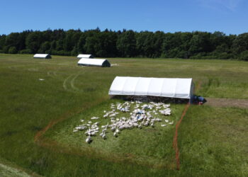 Naturalnie, rzetelnie, uczciwie – jak w Manufakturze Dobra buduje zaufanie przez transparentność