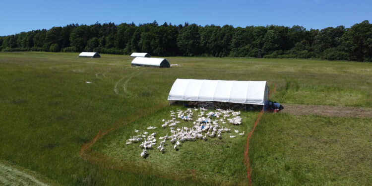 Naturalnie, rzetelnie, uczciwie – jak w Manufakturze Dobra buduje zaufanie przez transparentność