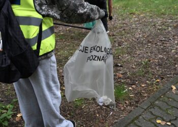 Mieszkańcy Poznania zebrali 19 ton odpadów