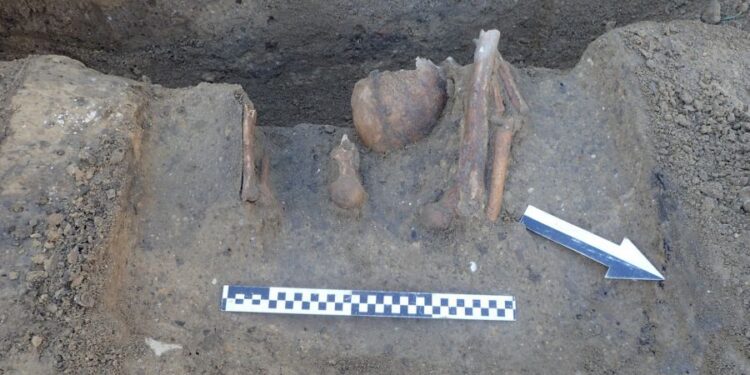 Ludzkie szczątki odkryte na terenie UAM w Poznaniu