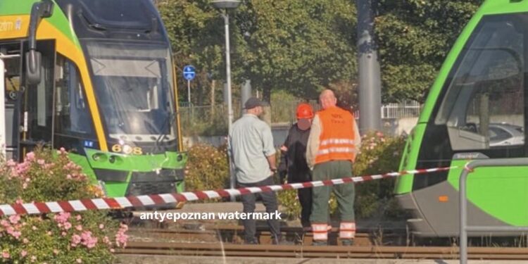 Wypadek tramwajów na Junikowie