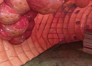 Spacer po jelicie w centrum Poznania. Unikalna lekcja zdrowia