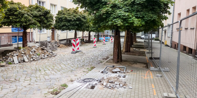 Będzie więcej zieleni na Łazarzu