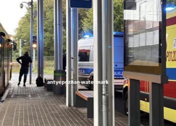 Tragedia na Junikowie! Autobus miażdży nogę nastolatki – wina pieszej?