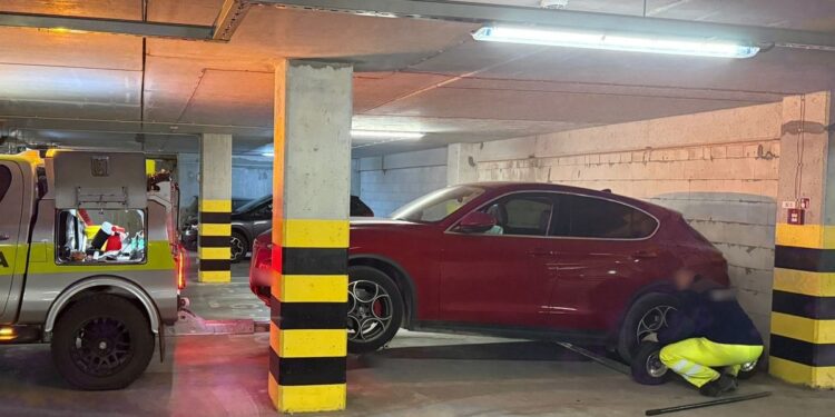 Poznańska policja rozbiła szajkę złodziei samochodów – odzyskano pojazdy warte ponad pół miliona złotych