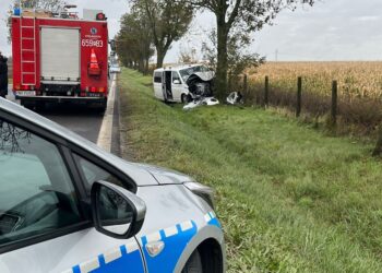 Wypadek busa z dziećmi pod Wrześnią – dwie siedmiolatki trafiły do szpitala
