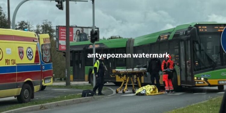 Autobus MPK potrącił pieszego na pasach na Dolnej Wildzie!