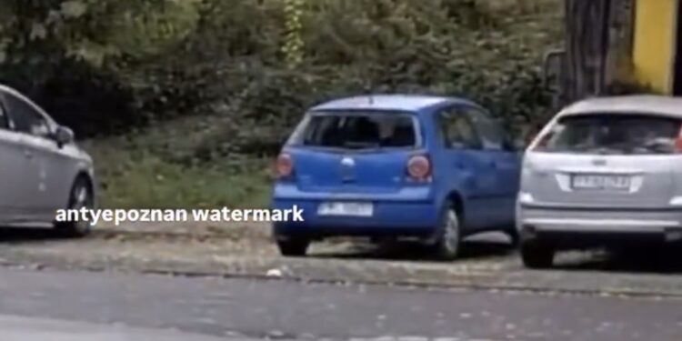 Autobus bez kierowcy staranował samochody!