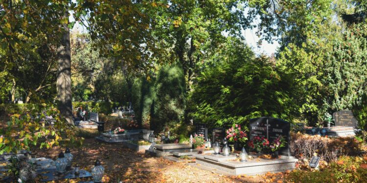 Wielkie zmiany w ruchu na Wszystkich Świętych w Poznaniu! Sprawdź, zanim ruszysz na cmentarz