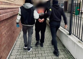 Poznań w centrum dużej akcji narkotykowej. Policja rozbiła magazyn pełen środków odurzających