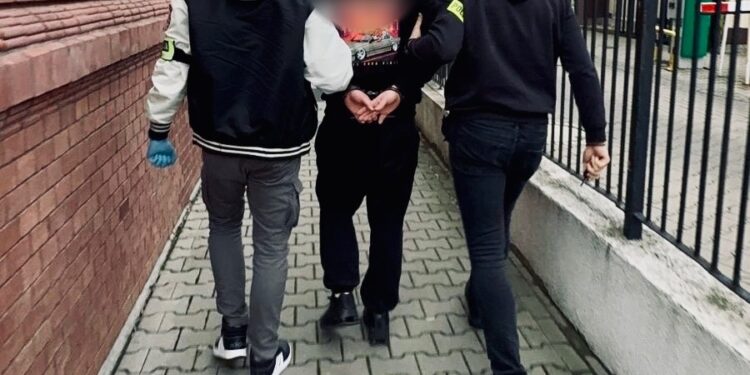 Poznań w centrum dużej akcji narkotykowej. Policja rozbiła magazyn pełen środków odurzających