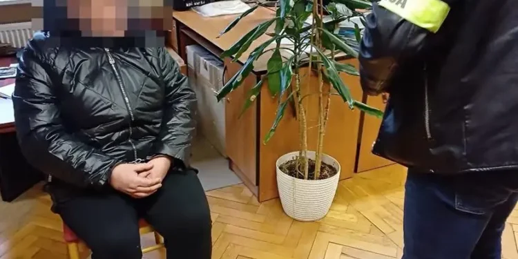 Piły razem herbatę, potem doszło do tragedii. 55-latka skazana za brutalne zabójstwa dwóch kobiet