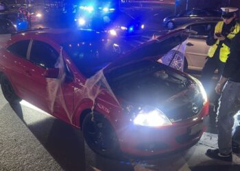 Policyjna akcja w Poznaniu! Motoryzacyjne spotkanie pod lupą funkcjonariuszy. Posypały się mandaty