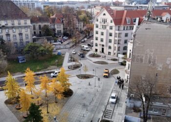 Więcej zieleni w centrum Poznania. Zobacz, co właśnie się zmienia!