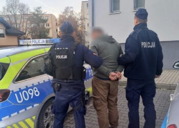 Miał dwa zakazy sądowe 42-latek trafi za kratki i zostanie deportowany?