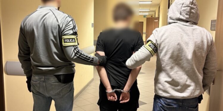 Seria nocnych włamań przerwana. Policja zatrzymała dwóch młodych włamywaczy z powiatu poznańskiego