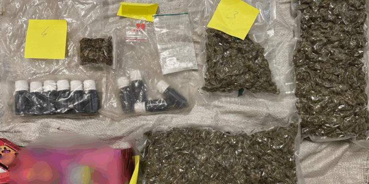 Ukryli narkotyki pod tonami zboża. Zaskakujący finał akcji poznańskich policjantów