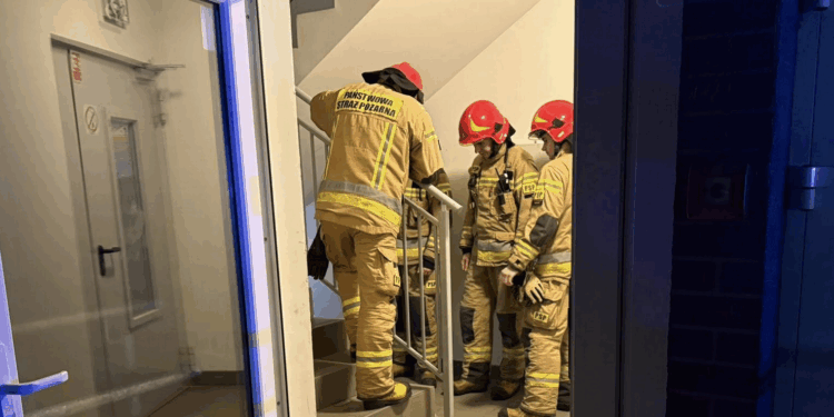 Nocny huk postawił mieszkańców Lubonia na nogi. Służby w akcji, powodem „zabawa” z petardami