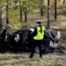 Tragiczny poranek na krajówce! 21-latek po pijanemu rozbił auto. Pasażer w szpitalu, kierowca w areszcie
