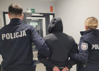 Wyjechał BMW przed świtem. Kilka minut później trafił do policyjnej celi