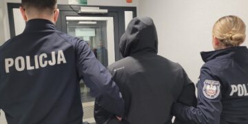Wyjechał BMW przed świtem. Kilka minut później trafił do policyjnej celi