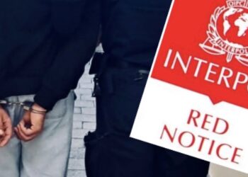 Interpol ruszył tropem 31-latka. Poszukiwany obcokrajowiec wpadł w Wielkopolsce