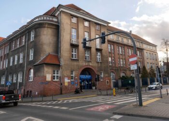 Bezpłatne badania i konsultacje dla poznanianek. Miasto uruchamia program wsparcia w walce z endometriozą