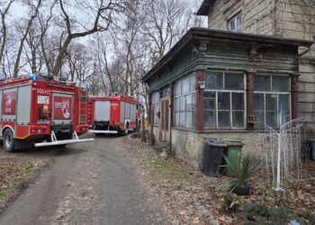 Tragiczny pożar dworku pod Poznaniem. Dwie ofiary