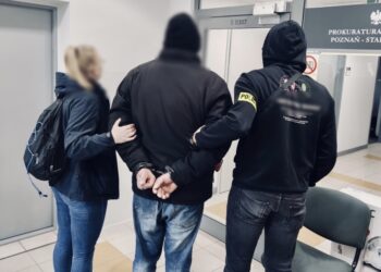 Poznańska policja rozbija międzynarodową siatkę prania pieniędzy. Milionowe kwoty, fałszywe tożsamości i internetowe oszustwa