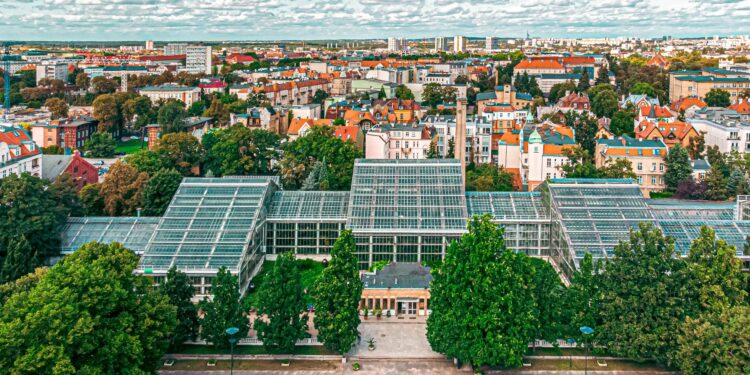 Świąteczna magia w tropikach! Palmiarnia Poznańska zaprasza na niezwykłe Eko Mikołajki