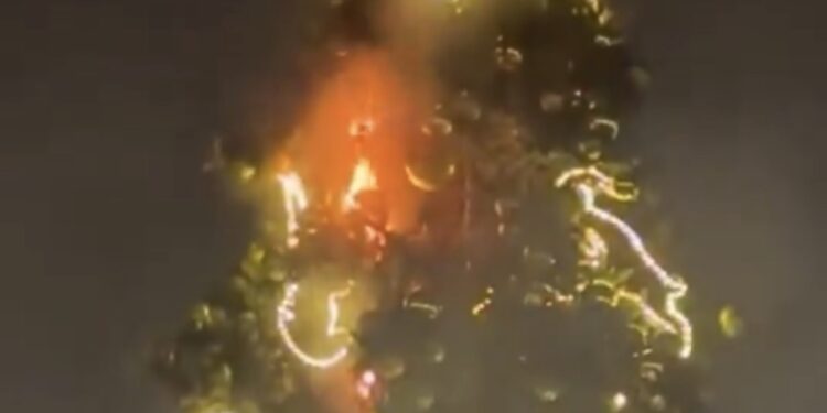 Płonęła miejska choinka w Poznaniu. Noc pełna pożarów w Wielkopolsce