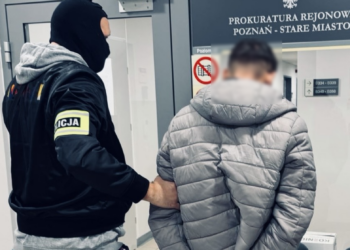 Znikające kołpaki i ciemny van. Nocna akcja na Wichrowym Wzgórzu przerwana przez policję