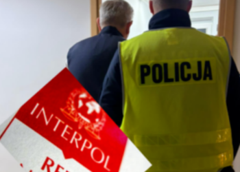 Czerwona nota Interpolu i kara więzienia. Niespodziewany finał kontroli na drodze ekspresowej