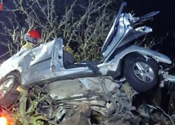 Tragiczna noc na drodze w regionie. Samochód uderzył w drzewo, kierowca zginął na miejscu