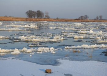 Rzeki w Wielkopolsce niebezpiecznie rosną. Wydano pilne ostrzeżenie hydrologiczne drugiego stopnia
